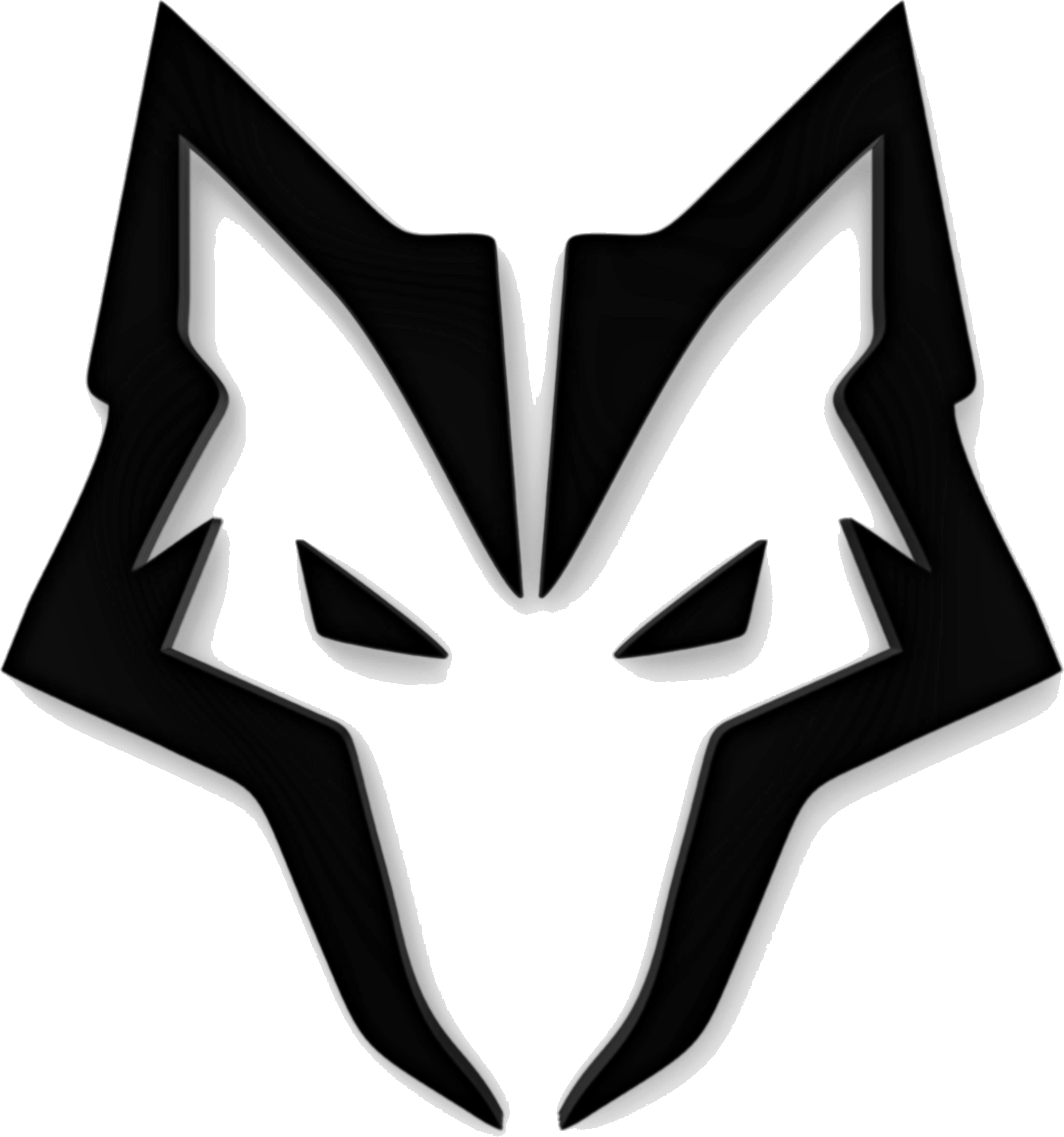 FNT Coaching logo